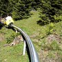 ����� ������� ������������