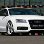 ����������� �������� ��� Audi