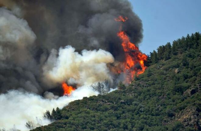 На известном турецком курорте эвакуируют отели из-за лесных пожаров