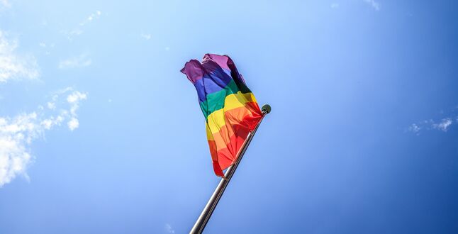 Во Франции запретили «лечить» гомосексуальность