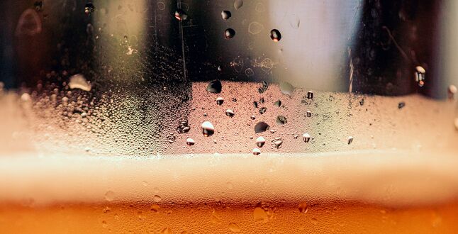 Carlsberg приостанавливает производство пива в Польше