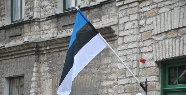 Президент Эстонии не утвердил закон о сносе советских памятников