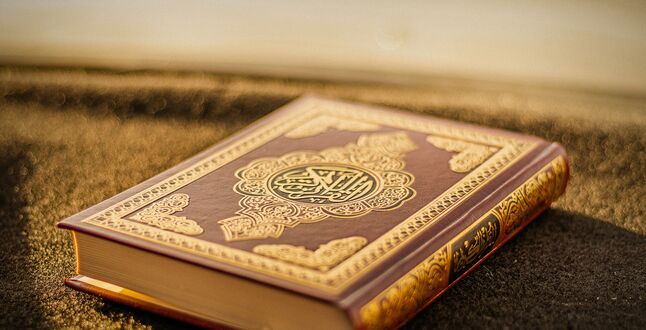 Правительство Дании запрещает акции с сожжением Корана