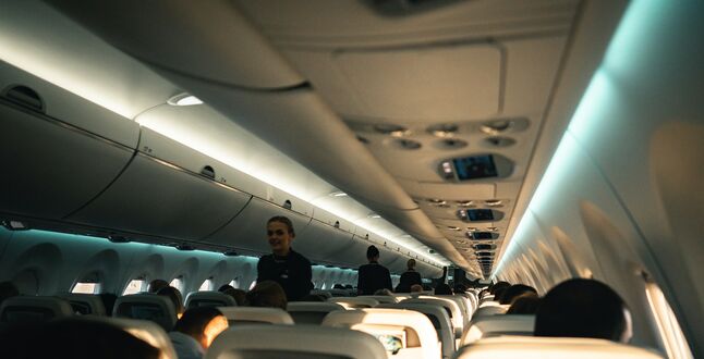 Пилот airBaltic вывел из самолета пуделя, который хотел в туалет