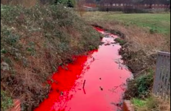 В британском городе Бирмингем вода в ручье окрасилась в кроваво-красный цвет