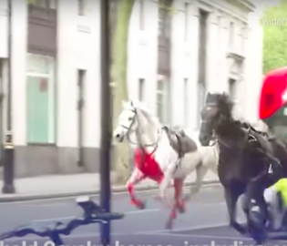 Лошади королевской гвардии устроили хаос в центре Лондона