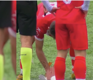 Турецкий футболист спас чайку, сделав ей массаж сердца Турецкий футболист спас чайку, сделав ей массаж сердца