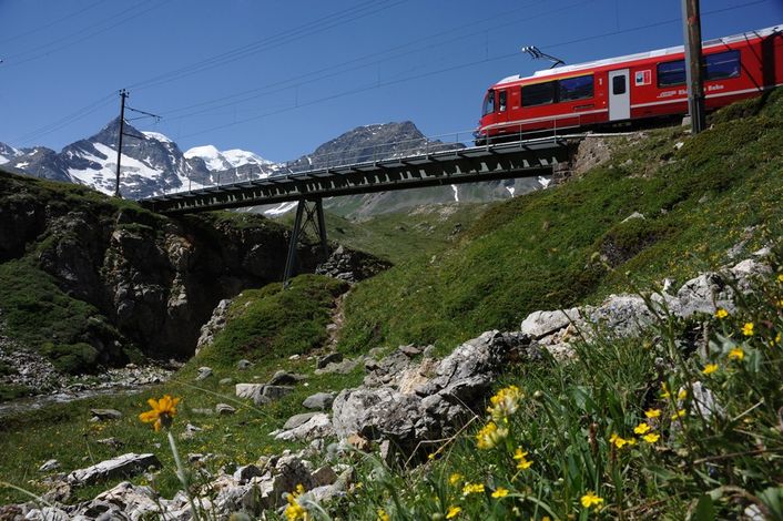 Девиз швейцарских железных дорог  - компании SBB: «Умные люди пользуются поездами» (нем. «Der Kluge reist im Zuge», англ. «Those with brain take the train»).