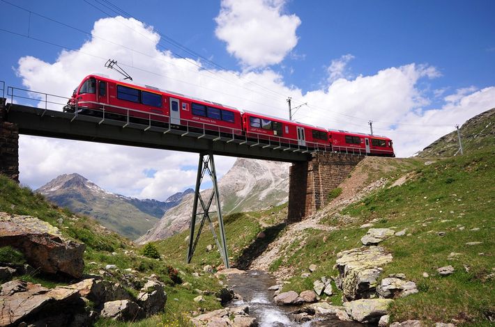 Девиз швейцарских железных дорог  - компании SBB: «Умные люди пользуются поездами» (нем. «Der Kluge reist im Zuge», англ. «Those with brain take the train»).