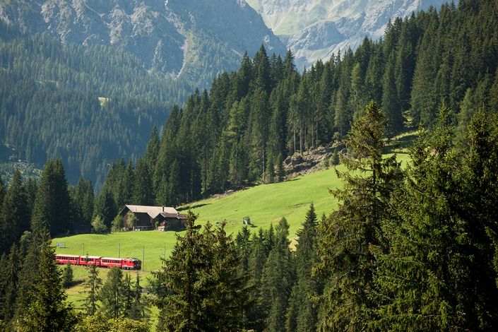 Девиз швейцарских железных дорог  - компании SBB: «Умные люди пользуются поездами» (нем. «Der Kluge reist im Zuge», англ. «Those with brain take the train»).