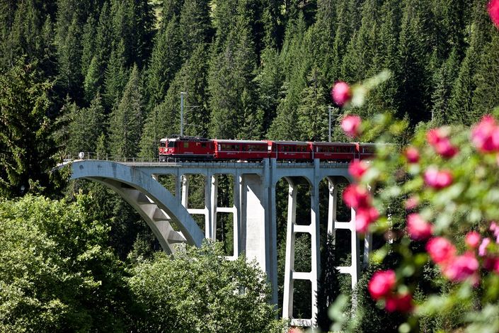 Девиз швейцарских железных дорог  - компании SBB: «Умные люди пользуются поездами» (нем. «Der Kluge reist im Zuge», англ. «Those with brain take the train»).