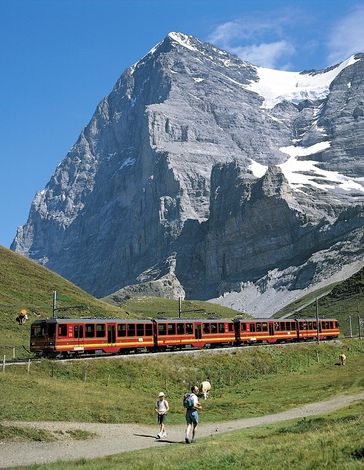 Девиз швейцарских железных дорог  - компании SBB: «Умные люди пользуются поездами» (нем. «Der Kluge reist im Zuge», англ. «Those with brain take the train»).