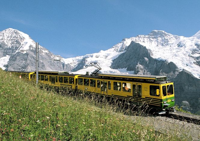 Девиз швейцарских железных дорог  - компании SBB: «Умные люди пользуются поездами» (нем. «Der Kluge reist im Zuge», англ. «Those with brain take the train»).