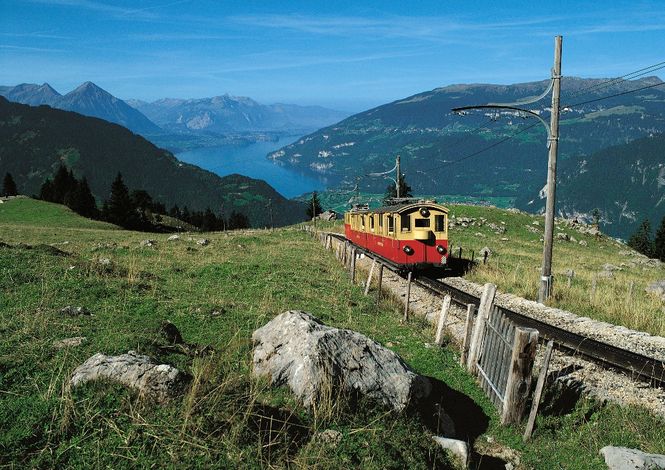 Девиз швейцарских железных дорог  - компании SBB: «Умные люди пользуются поездами» (нем. «Der Kluge reist im Zuge», англ. «Those with brain take the train»).