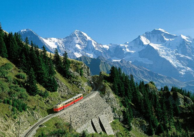 Девиз швейцарских железных дорог  - компании SBB: «Умные люди пользуются поездами» (нем. «Der Kluge reist im Zuge», англ. «Those with brain take the train»).