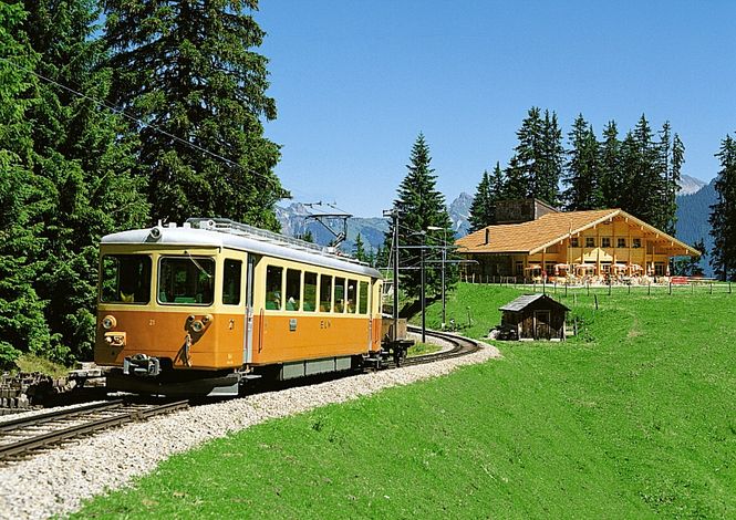 Девиз швейцарских железных дорог  - компании SBB: «Умные люди пользуются поездами» (нем. «Der Kluge reist im Zuge», англ. «Those with brain take the train»).