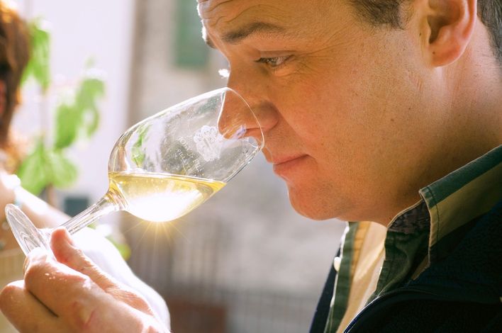 Дегустация вина шасла (Chasselas)