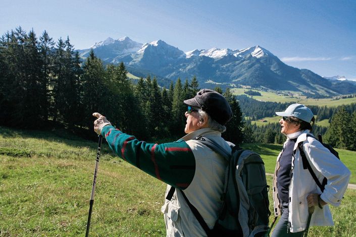 Летний отдых в Швейцарии. Коль де Мосес (Col des Mosses)