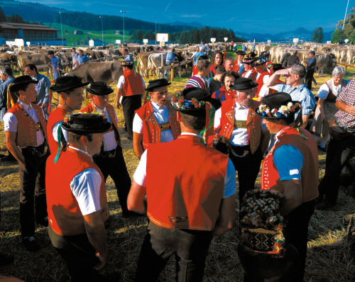 Разговор фермеров во время боя быков, знаменующего начало лета, когда скот уводят пастись на альпийские луга. Штайн (Stein) , кантон Аппенцелль — Иннерроден ( Appenzell Innerrhoden).