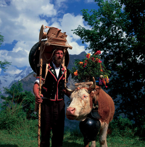 Швейцарский фермер с коровой на фестивале в честь окончания летнего периода, когда коровы пасутся на альпийских лугах в горах, Муррен (Muerren), Бернес Оберланд (Bernese Oberland).