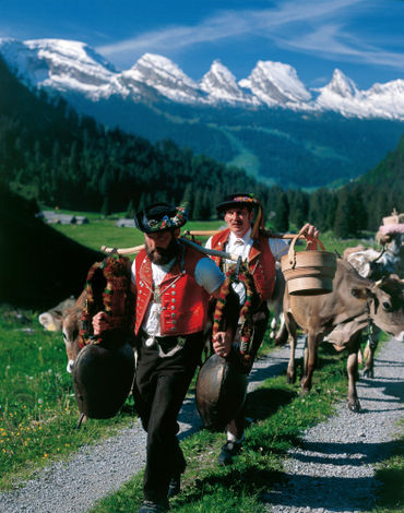 Долина Тогенбург (Toggenburg) в кантоне Санкт-Галлен (St. Gallen), Восточная Швейцария. «Восхождение скота» на альпийские луга в горы, знаменующее начало лета. На заднем плане – еще покрытые снегом вершины альпийских гор.