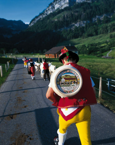 Традиционный маршрут швейцарских фермеров. В начале каждого лета  фермеры перегоняют свой скот на пастбища в горы. На фотографии –кантон  Аппенцелль — Иннерроден ( Appenzell Innerrhoden).