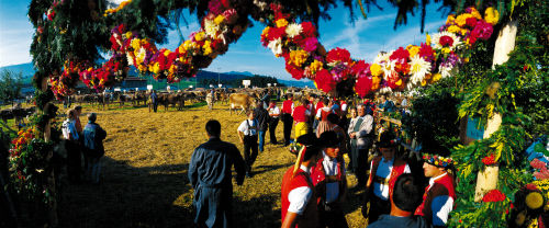 Фестиваль по случаю боя быков в Штайне (Stein). На фотографии –кантон  Аппенцелль — Иннерроден ( Appenzell Innerrhoden).
