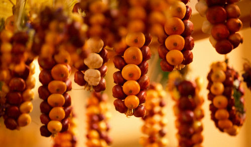 «Zibelemaerit» («рынок лука») – народный фестиваль в Швейцарии, который проходит в четвертый понедельник ноября. Традиционно фермеры со всех кантонов привозят в этот день в столицу федерации –город Берн (Bern) - около 50 тонн заплетенного в косы лука.