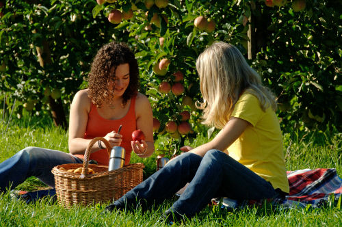 Летний отдых в Швейцарии. Кантон Тургау (Thurgau) 