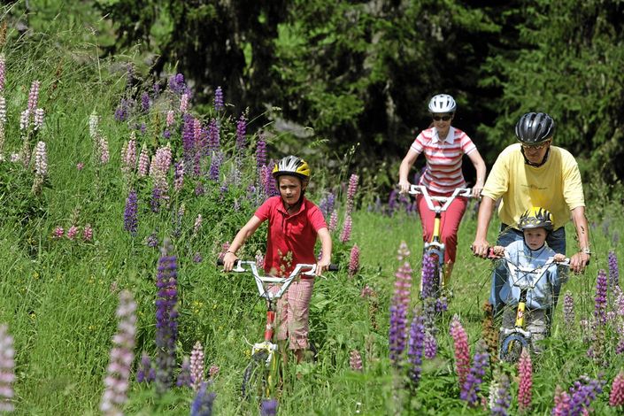 Семейный отдых. Кантон Вале (Wallis)