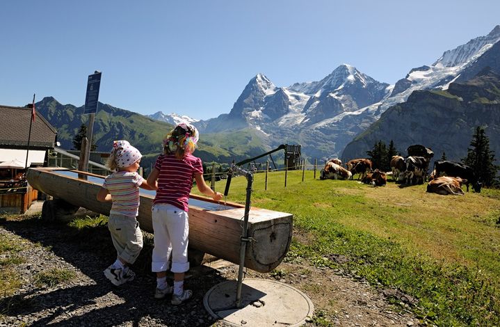 Семейный отдых. Регион Юнгфрау (Jungfrau)
