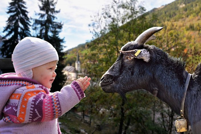 Семейный отдых. Кантон Вале (Wallis)