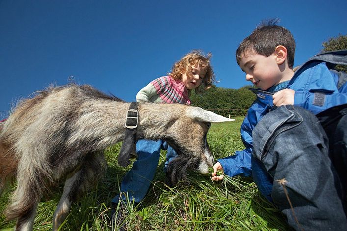 Семейный отдых. Веззен (Weesen)