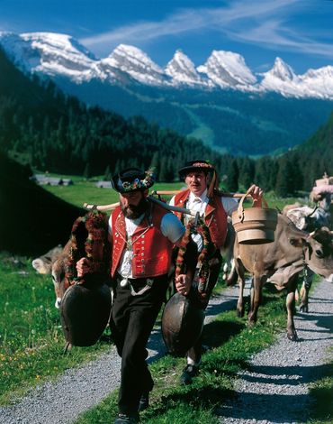 Долина Тогенбург (Toggenburg) в кантоне Санкт-Галлен (St. Gallen), Восточная Швейцария. «Восхождение скота» на альпийские луга в горы, знаменующее начало лета. На заднем плане – еще покрытые снегом вершины альпийских гор.