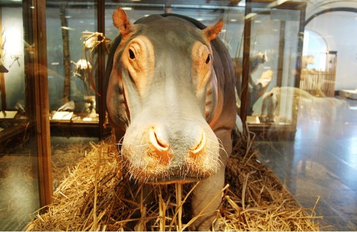 Музей естествознания