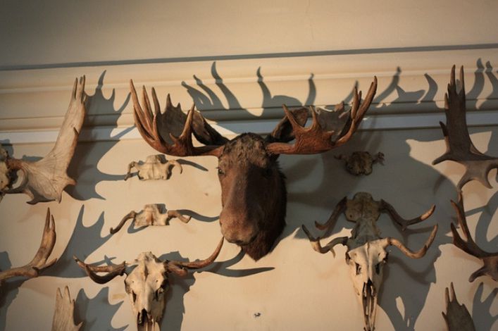 Музей естествознания