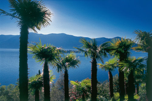 Местечко Ronco, кантон Тичино (Ticino)