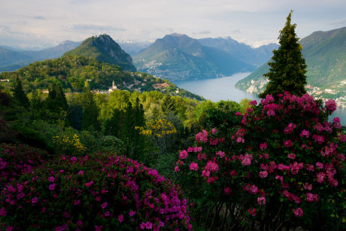 Ботанический сад Parco San Grato в Кароне (Carona), кантон Тичино (Ticino)