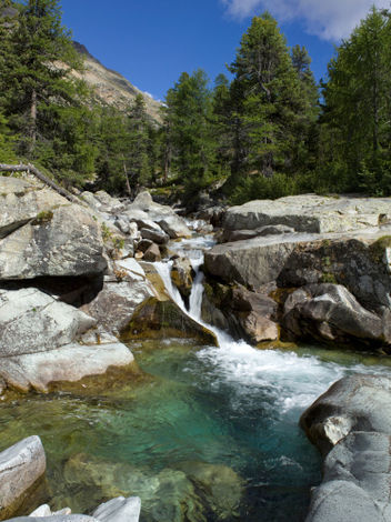 Энгадин Санкт-Мориц (Engadin St. Moritz)