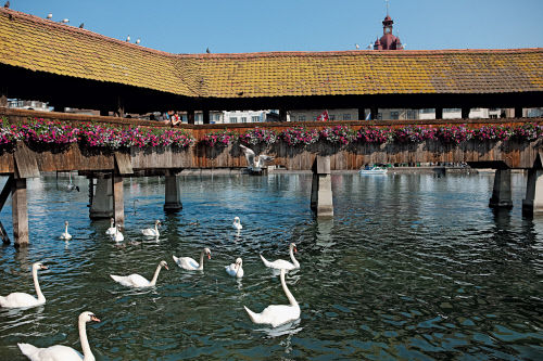 Мост через реку Ройс, Люцерн