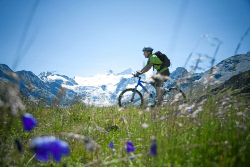 Незабываемый опыт и захватывающие дух виды ожидают посетителей парка Vercorin Adventure Forest, кантон Вале