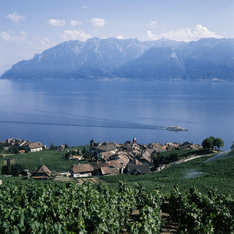 Риваз, на берегу Женевского озера