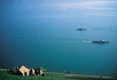 Вид на Женевское озеро ос стороны виноградников Лаво
