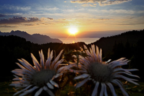 Природный парк Gruyere Pays-d'Enhaut находится на берегах Женевского озера