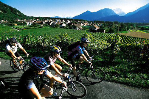 Виноградники в кантоне Граубюнден