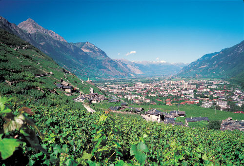 Виноградники Мартиньи, кантон Вале