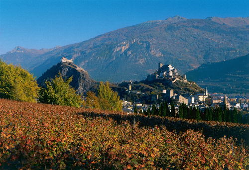 Сьон, столица кантона Вале. Вид на город со стороны виноградников