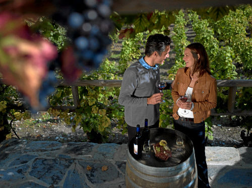 Виноградники недалеко  от Мартиньи, кантон Вале