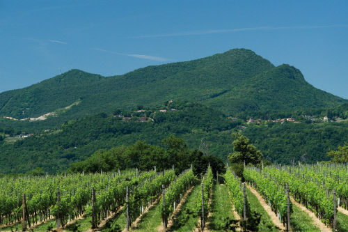 Южная часть горы Монте-Сан-Джорджио, внесенной в список объектов Всемирного наследия ЮНЕСКО. На переднем плане –виноградники Мендрисио