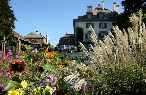 Террасовые виноградники Лаво на берегу Женевского озера являются частью Всемирного наследия ЮНЕСКО